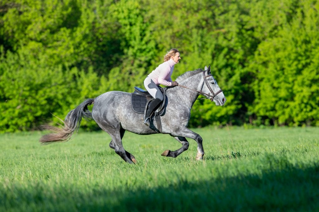 Woman riding a horse in summertime outdoors.