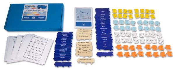 Protein Synthesis kit components and box