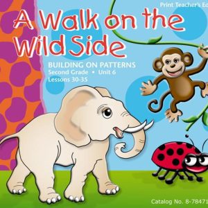 Building on Patterns Second Grade Unit 6 Teachers Edition