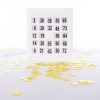 Front view of Bingo Card and chips from Getting to Know You kit