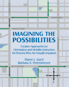 Imagining the Possibilities book cover