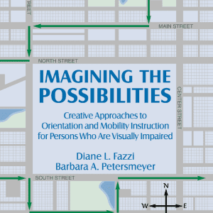 Imagining the Possibilities book cover