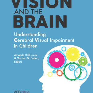 Vision and the Brain book cover