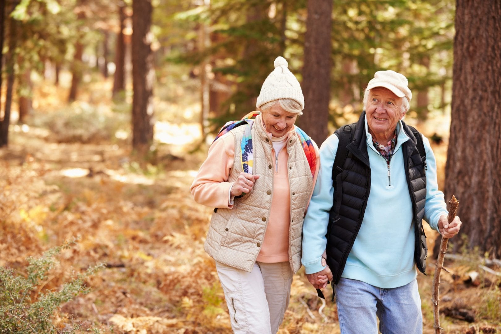 Senior couple holding hands hiking in a forest