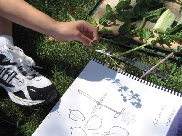child sitting in grass using lots of dots book to compare plants