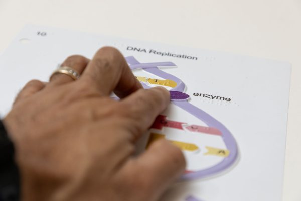 A hand of a man exploring the DNA replication tactile graphic.