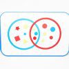 Textured Sorting Circles and Shapes with All-In-One Boards. Please note: Kit does not include the All-in-One Board