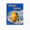 Animal Bodies