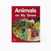 Animals On My Street