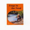 Frogs In The Pond