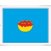 TADPOLE eBook Strawberries iPad