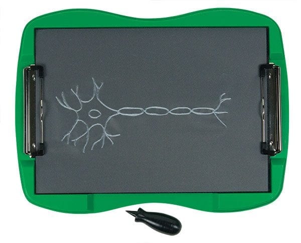 A tactile graphic of a neuron drawn on tactile drawing film is attached to the green TactileDoodle frame. The black stylus is placed below the frame