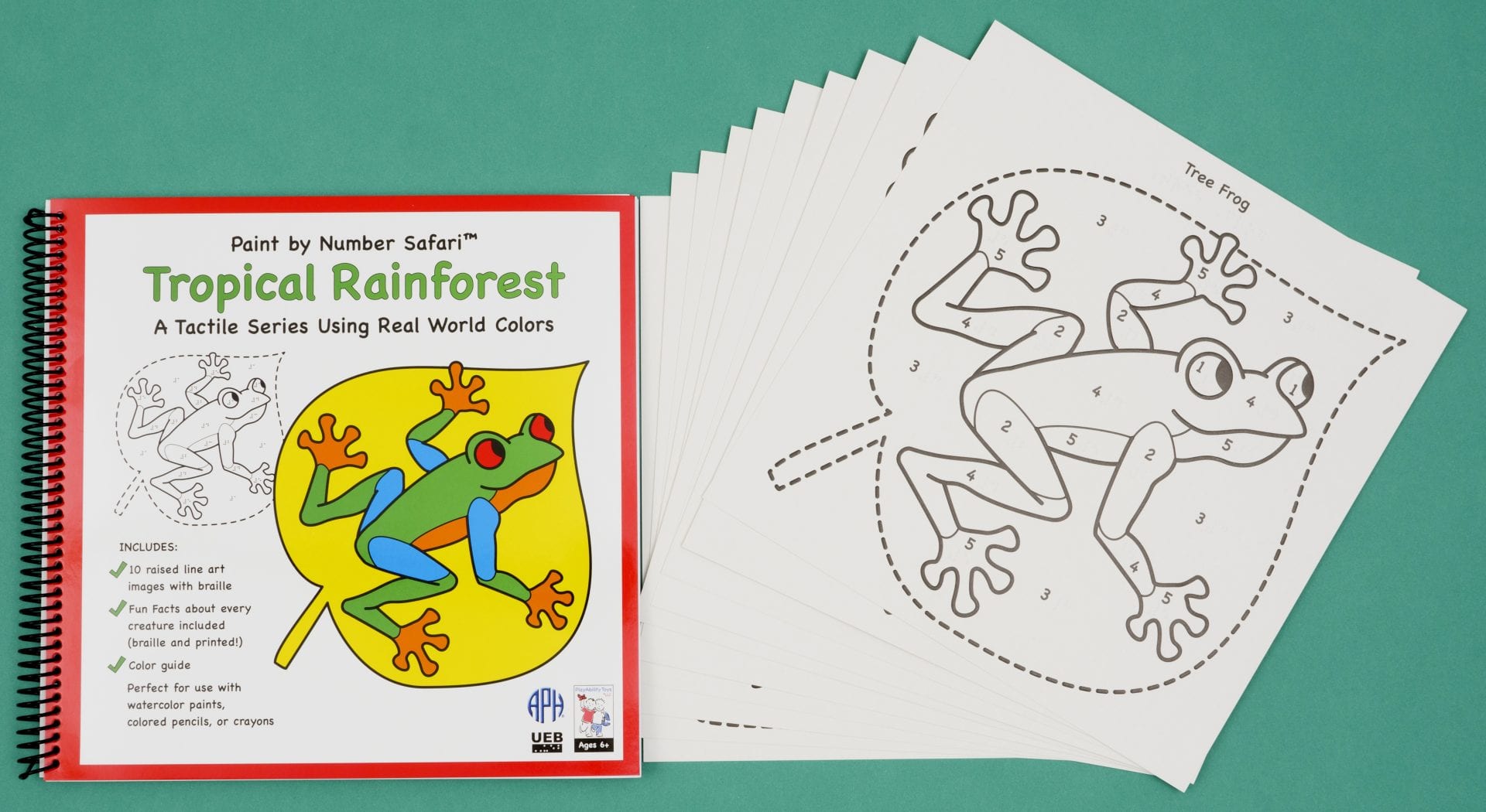 Cover of Tropical Rainforest book and examples of raised line drawing of a frog