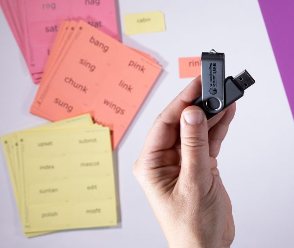 A hand holding a USB drive with black text that reads "Wilson Reading System UEB." In the background are perforated print-braille card sheets in various colors.