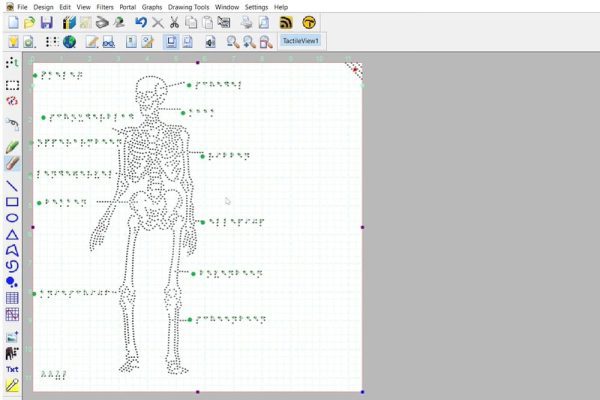 A screenshot of a diagram of the human skeleton with labels in the TactileView software