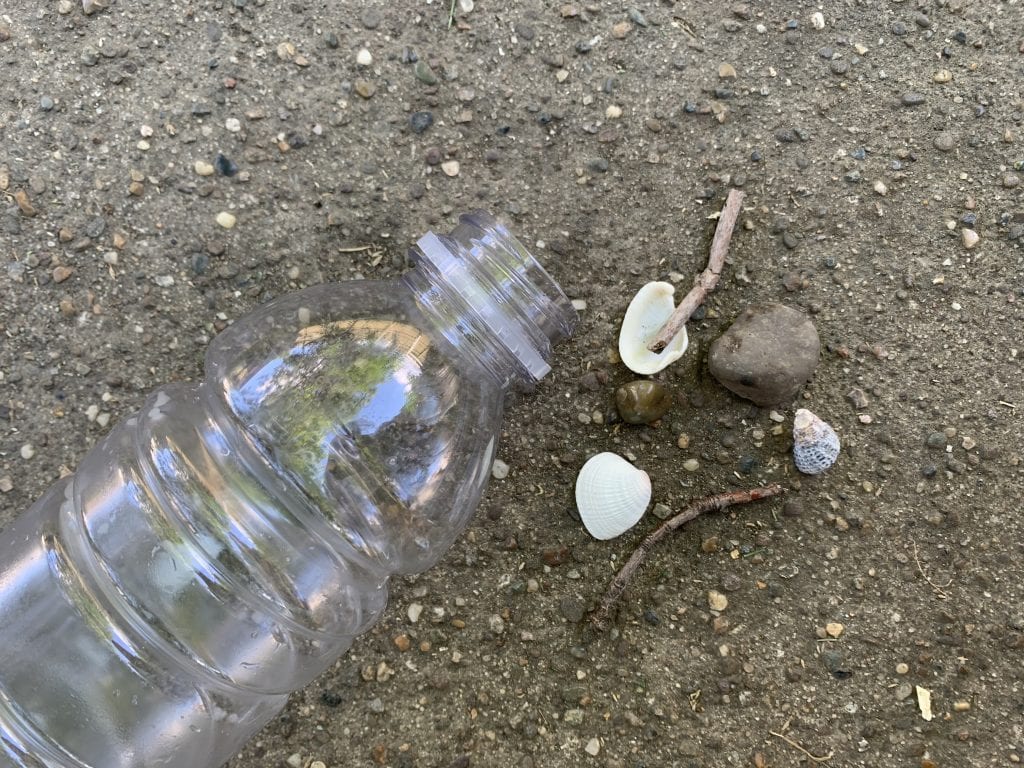 an empty bottle next to some rocks, shells, and sticks