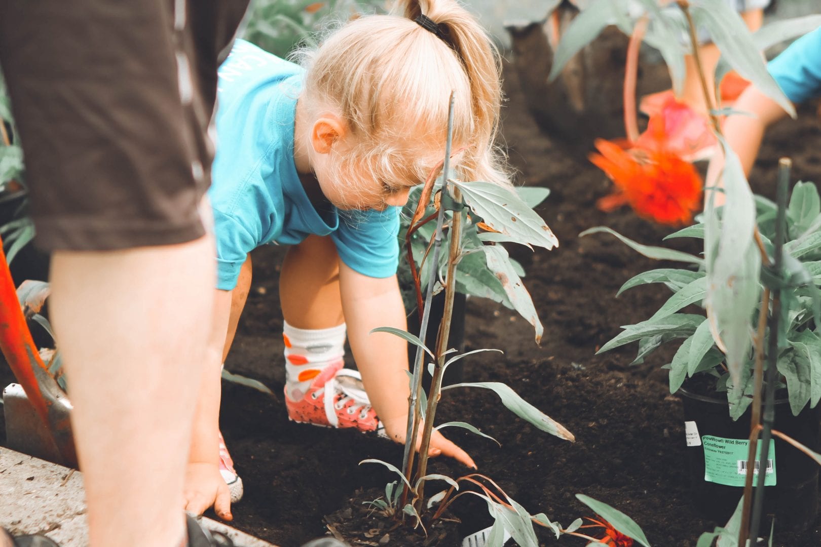 a young girl with her hands in garden dirt