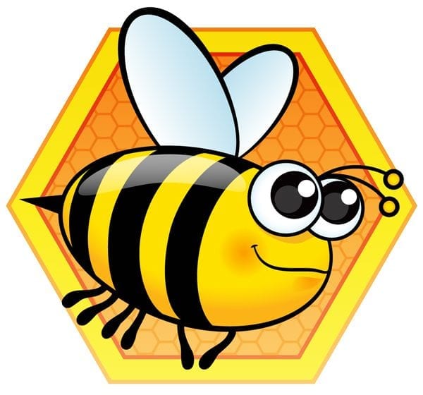 BrailleBuzz app icon: a cartoon bee in front of a hexagon outlined in yellow with an orange honeycomb pattern in the middle.