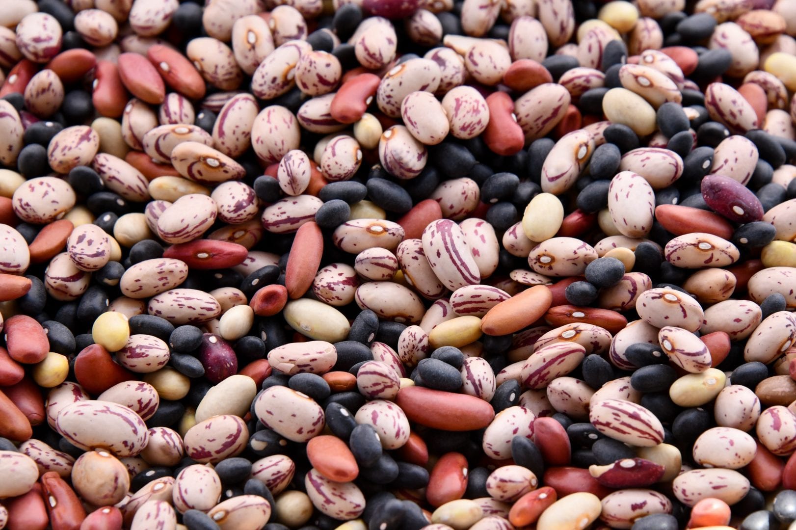 a variety of dried beans