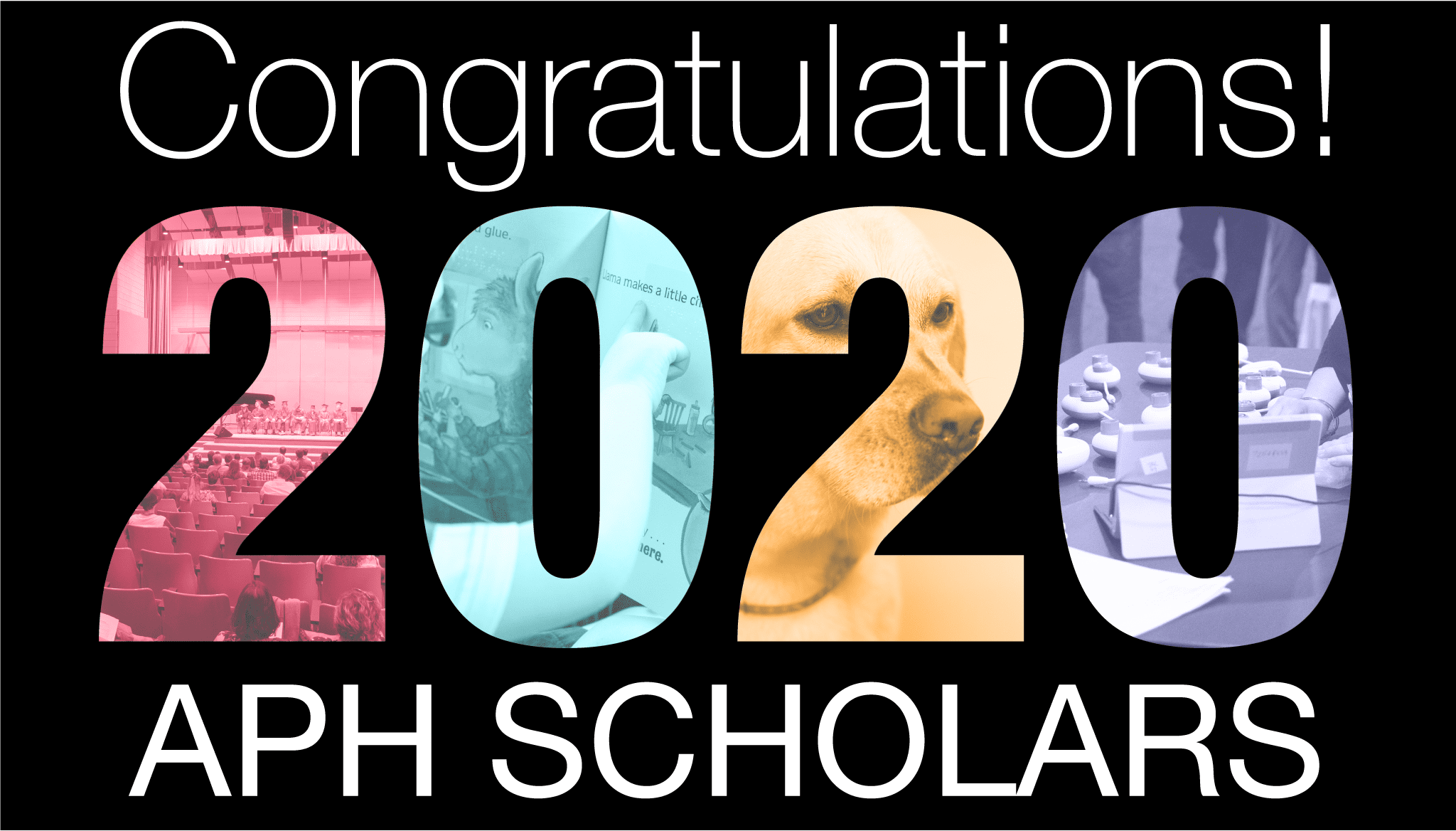 text reads "congratulations 2020 APH Scholars" and the numbers of 2020 are made of branded colored images from the field including products and a guide dog