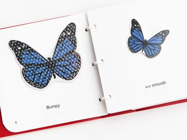 Laptime and Lullabies Booklet Butterflies internal pages with blue butterfly