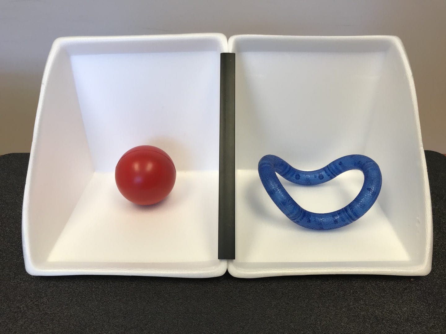 Two APH Expandable Calendar Boxes set up as Now and Next Schedule. Boxes are white with black divider. Now box holds a red ball and next box holds an APH textured blue Tangle Toy.