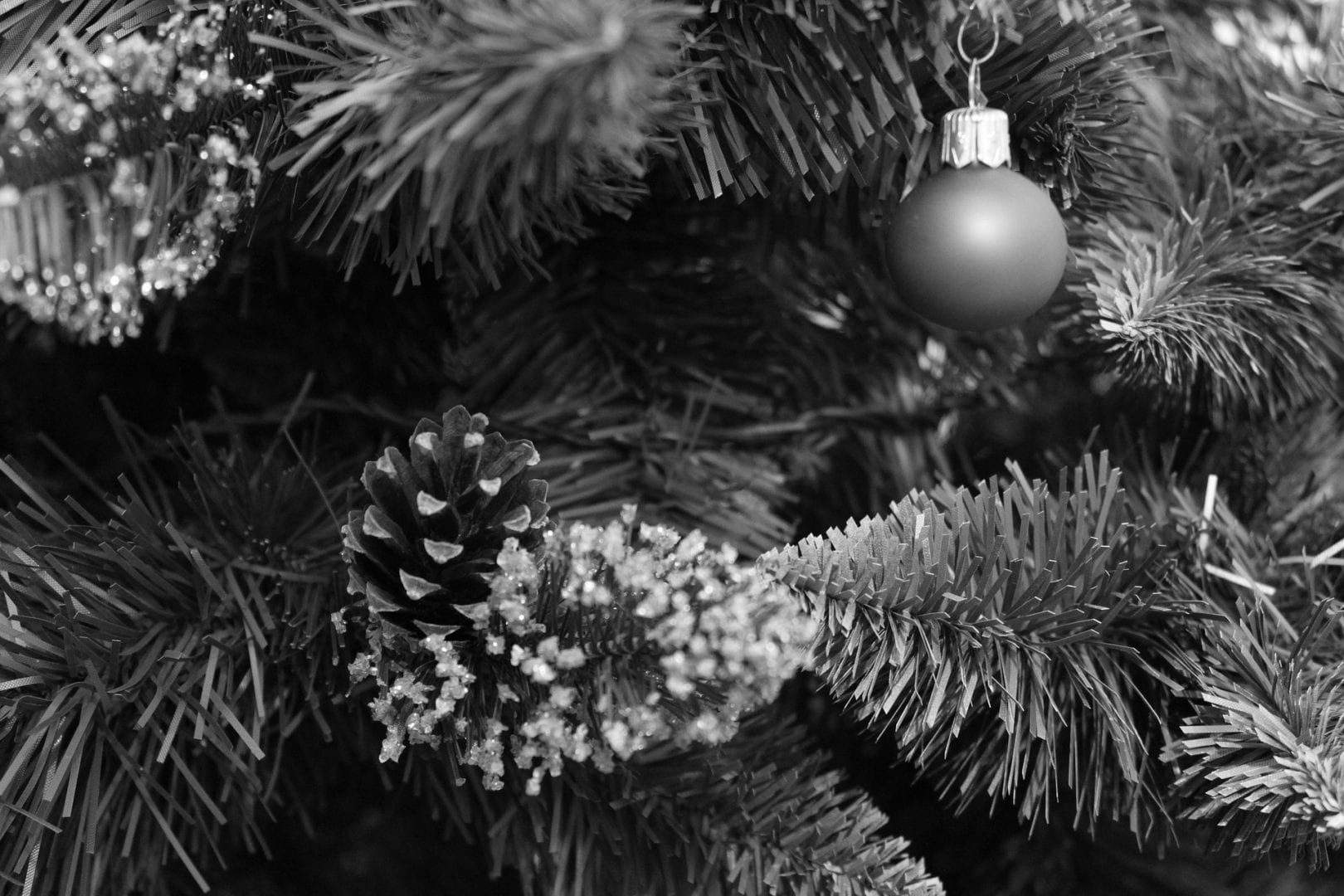 a black and white close up photo of a pine tree and a round ornament