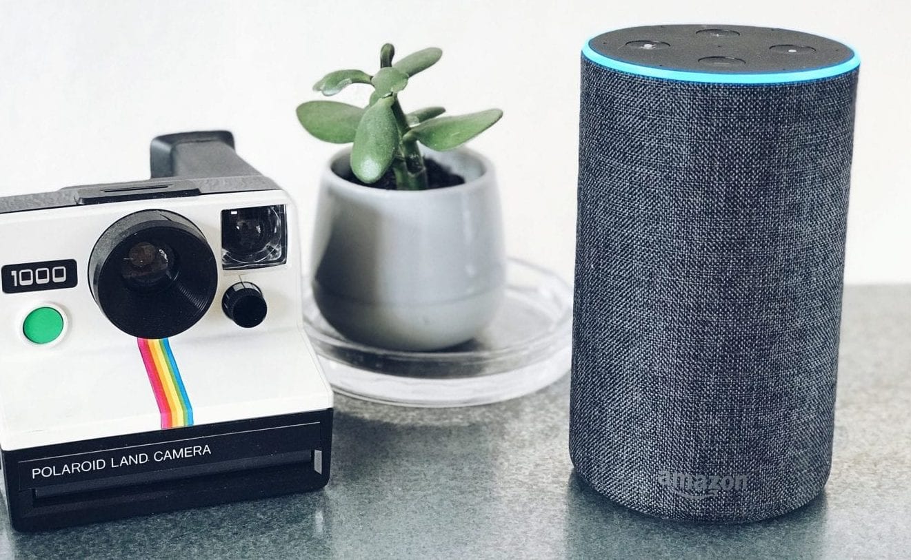 an amazon echo smart speaker on a table next to a plant and a vintage polaroid camera