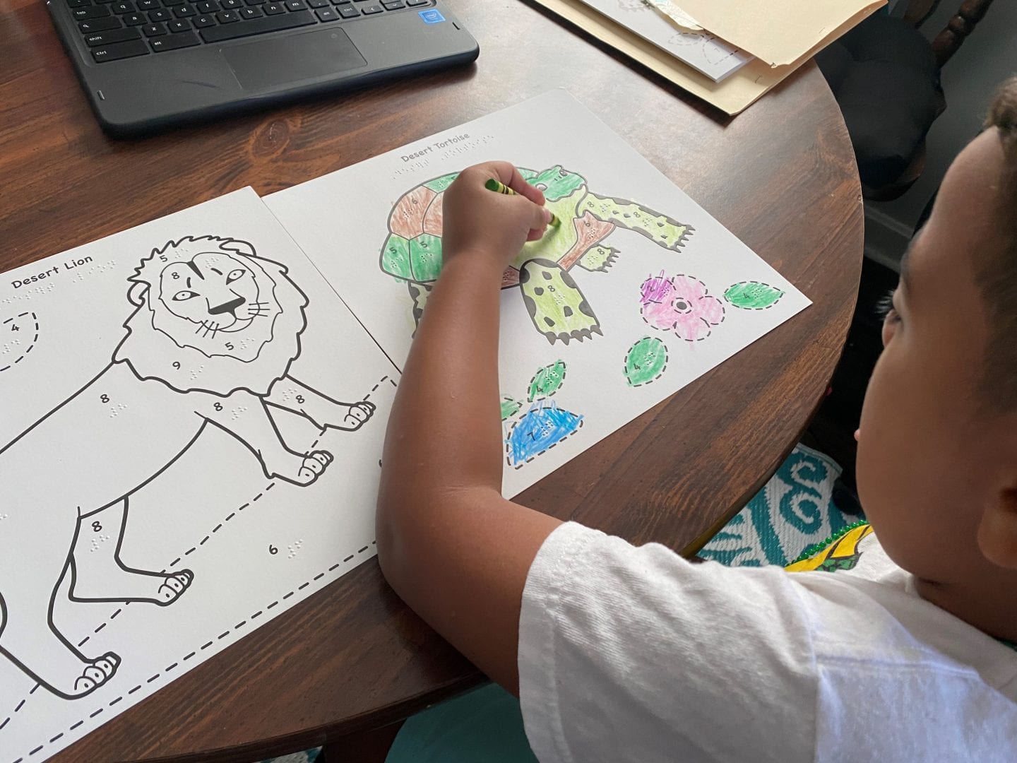 a young child sitting at a table coloring the black outlined tactile picture of a tortoise. A coloring page of a lion sits on the table beside him.