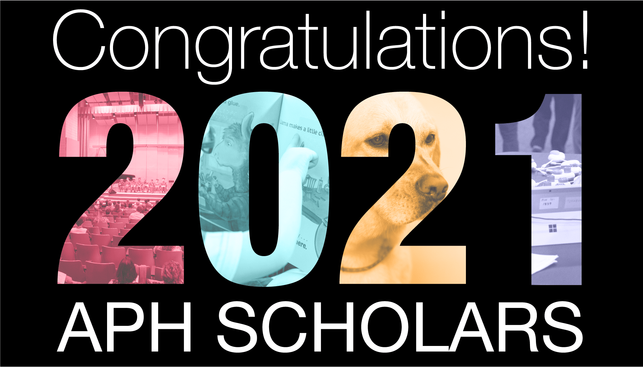 text reads "congratulations 2021 APH Scholars" and the numbers of 2021 are made of branded colored images from the field including products and a guide dog