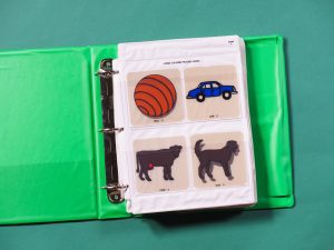 Four large transparent graphic cards (an orange ball, a blue car, a brown cow, and a brown dog) are inserted into a pocket page contained in a green binder.
