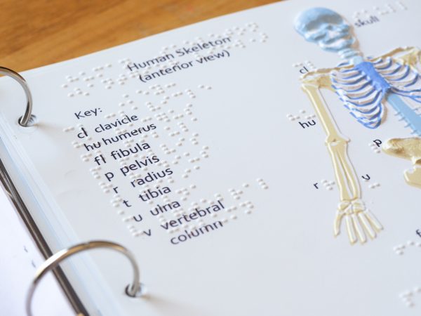 Tactile representation of the Human Skeleton (anterior view). A braille key shows where the clavicle, humerus, fibula, pelvis, radius, tibia, ulna, and vertebral column are located in the human body in the tactile human skeleton. Two tactile images are on the right side of the graphic representing the “hand detail” and “foot detail.” The carpal bones and phalanges are listed in braille for the “hand detail,” while the tarsal bones and phalanges are listed in braille for the “foot detail.”