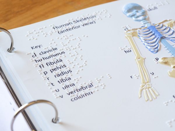 Tactile representation of the Human Skeleton (anterior view). A braille key shows where the clavicle, humerus, fibula, pelvis, radius, tibia, ulna, and vertebral column are located in the human body in the tactile human skeleton. Two tactile images are on the right side of the graphic representing the “hand detail” and “foot detail.” The carpal bones and phalanges are listed in braille for the “hand detail,” while the tarsal bones and phalanges are listed in braille for the “foot detail.”