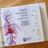 Health Education Tactile Graphics binder opened to show the cover of the Instructional Guidebook for Teachers and Students. Part of the first tactile graphic showing “hand detail” and “foot detail” is also shown. The carpal bones and phalanges are listed in braille for the “hand detail,” while the tarsal bones and phalanges are listed in braille for the “foot detail.”