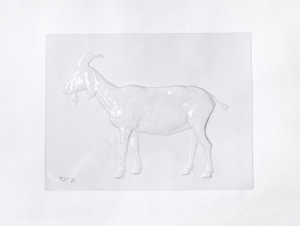 goat translucent puzzle piece