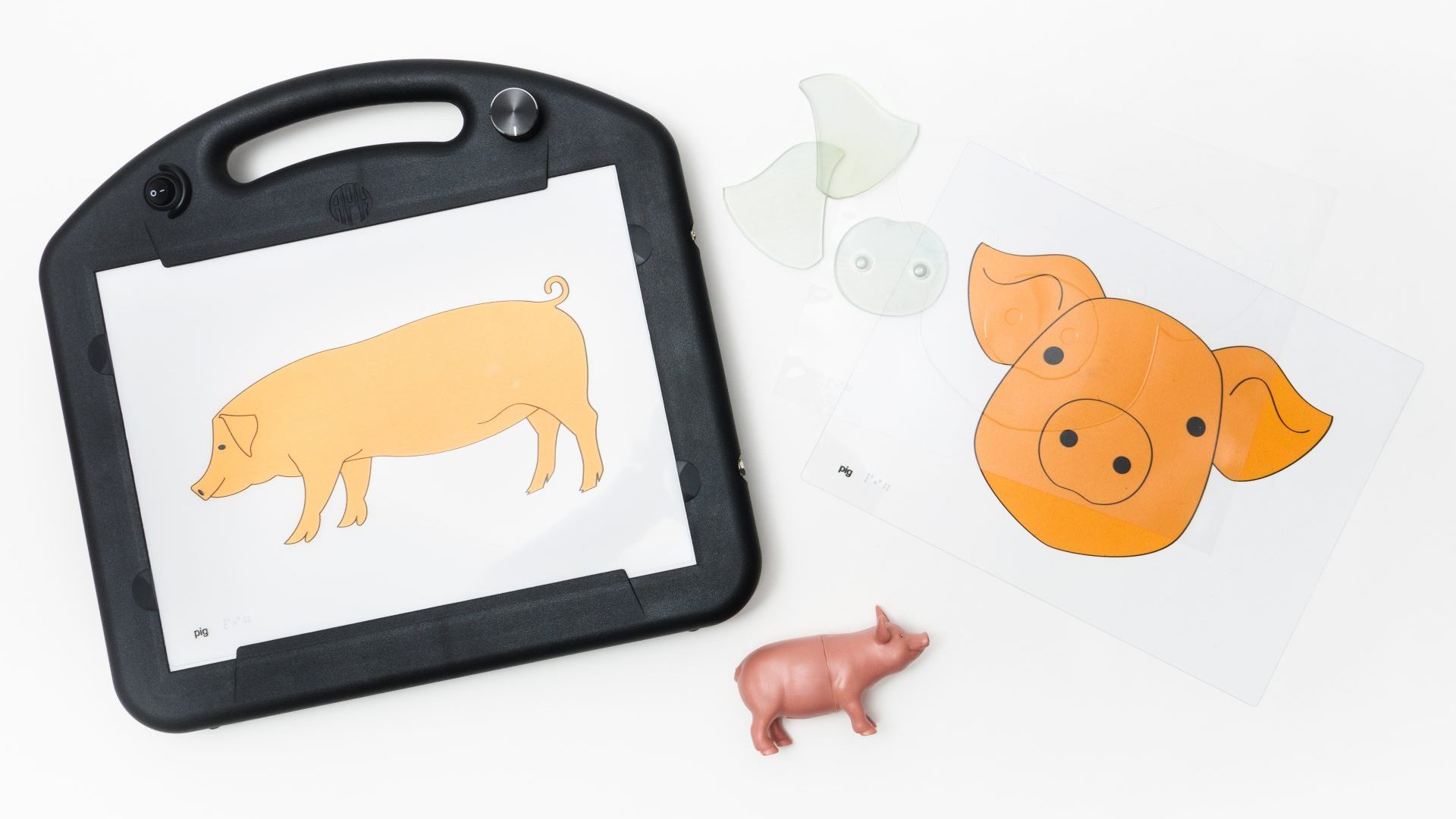set of animal recipe pieces for the pig kit including 3D model, full body color overlay and raised line overlay on mini lite box, face overlay and raised overlay, and puzzle pieces.