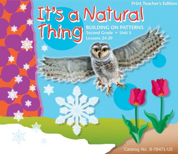 Cover of Building on Patterns Second Grade Teacher's Edition Unit 5 Lessons 24-29
