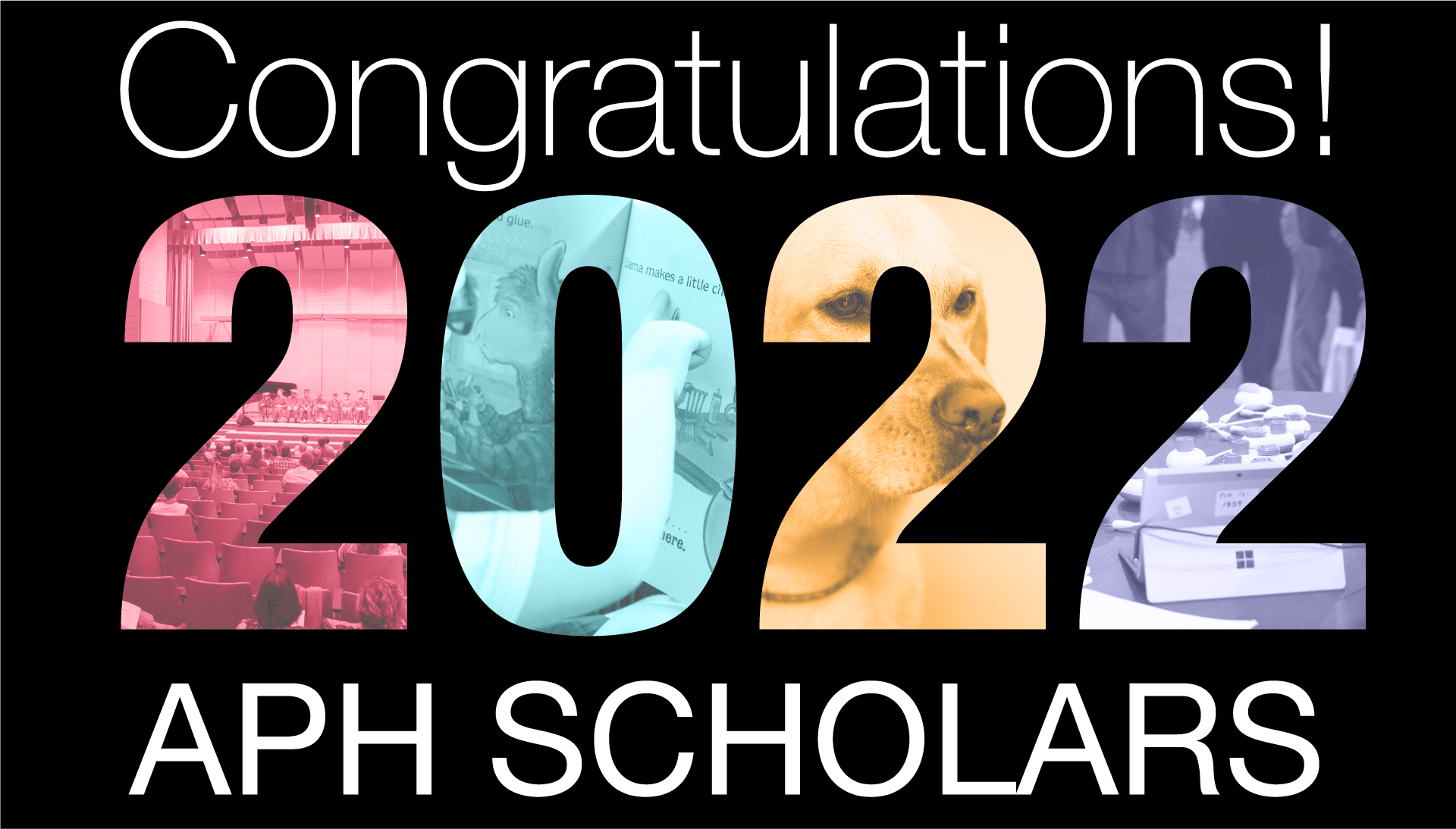 Text reads "Congratulations 2022 APH Scholars" and the numbers of 2022 are made of branded colored images from the field including products and a guide dog.