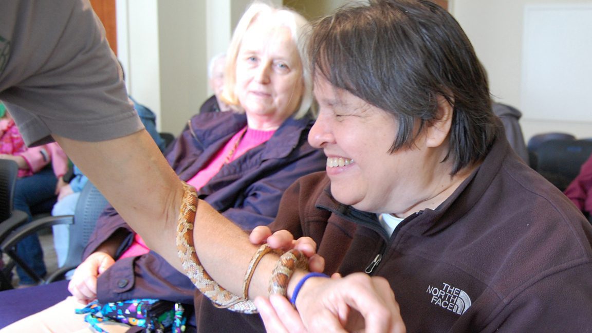 A woman smiling and touching a small snake wrapped around a persons arm. Other people are looking on from the background.
