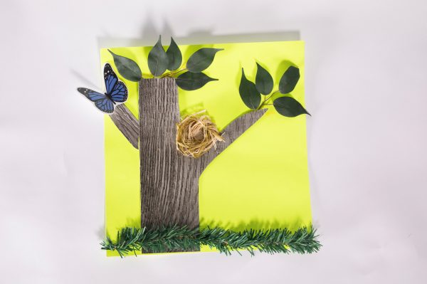 A tactile illustration shows a tree trunk and branches cut from a heavily textured sheet resembling bark. Loosely attached artificial leaves top the tree and branches. A small bird’s nest of twisted raffia rests on one branch and a blue butterfly sits on the other branch.