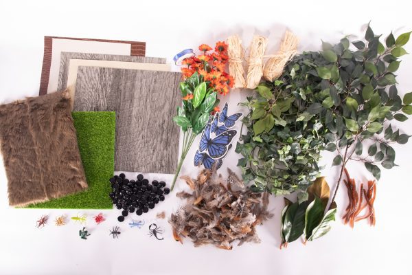 Shows an array of the items included in the Tactile Theme Pack: In My Yard, including small and large artificial leaves and flowers, an artificial turf mat, fake fur, flat-backed pebbles, plastic insects, rubber earthworms, bird feathers, plastic butterflies, raffia, blue satin ribbon, and textured sheets (bark, reptile, lizard skin, fuzzy).