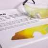 A pair of safety glasses containing the Cataracts insert sits on top of a printed page with information about the condition and an image of the insert laid flat.