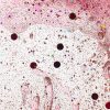 Close up of a red swirly mat with confetti and glitters.