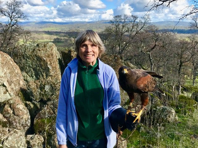 Susan Glass with a large hawk perching on her hand as she stands in front of a lush landscape.