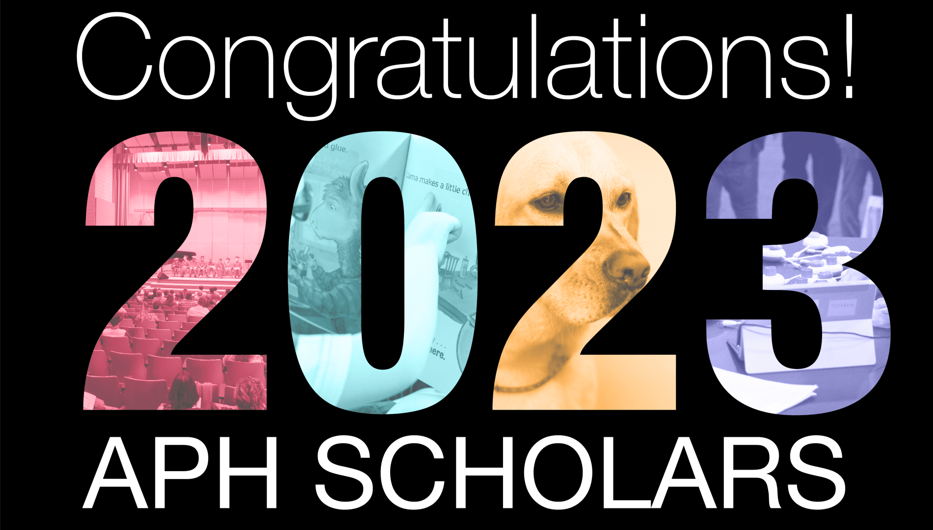 Text reads "congratulations 2023 APH Scholars" and the numbers of 2023 are made of branded colored images from the field including products, conferences, and a guide dog.