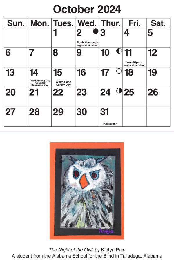 The Night of the Owl,” by Kiptyn Pate. “The Night of the Owl,” is a colorful illustration of an owl that uses various shades of white, black, blue, and orange. The owl is surrounded by two borders, the inner border is black, and the outer is orange.