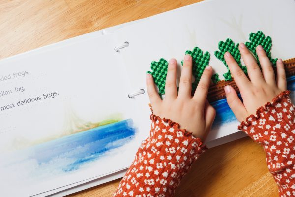 Two hands of a tactile reader on the open storybook. On the right page, the reader's hands sit on four green tactile frogs laid out on an illustration of a log floating on blue water. On the left page is a small illustration of a blue pond beneath braille and large print text.