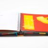 Two open pages of Crokato. On the left is large print text with braille, and on the right is a tactile illustration of Crokato with yellow feathers on a red background.
