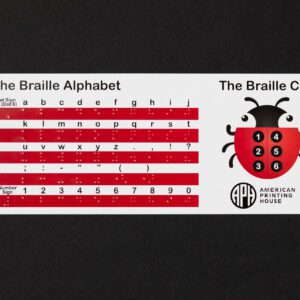 A braille alphabet card with a ladybug-themed braille cell diagram on the right side. Braille letters and symbols are listed underneath their print counterparts.